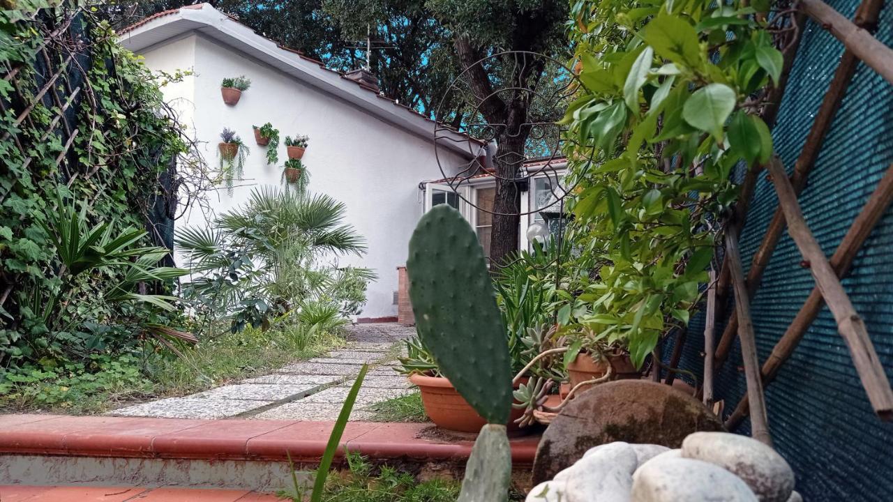 Villetta La Gabbianella Livorno Exteriér fotografie