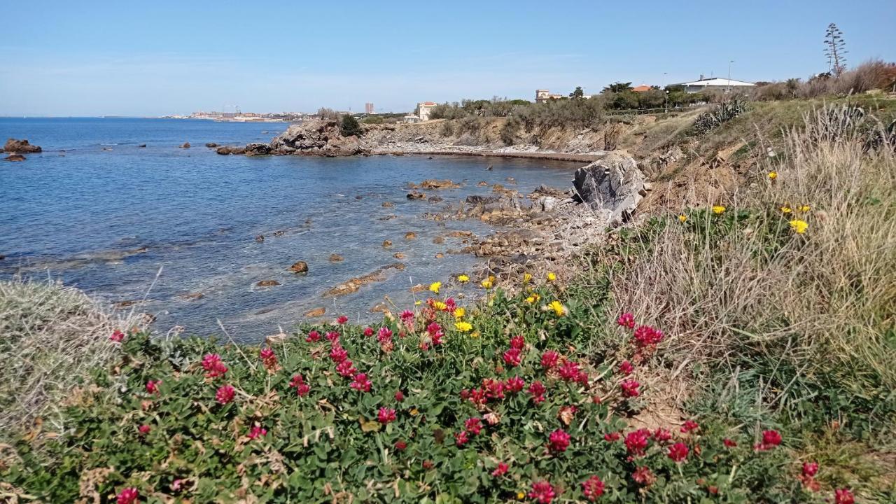 Villetta La Gabbianella Livorno Exteriér fotografie